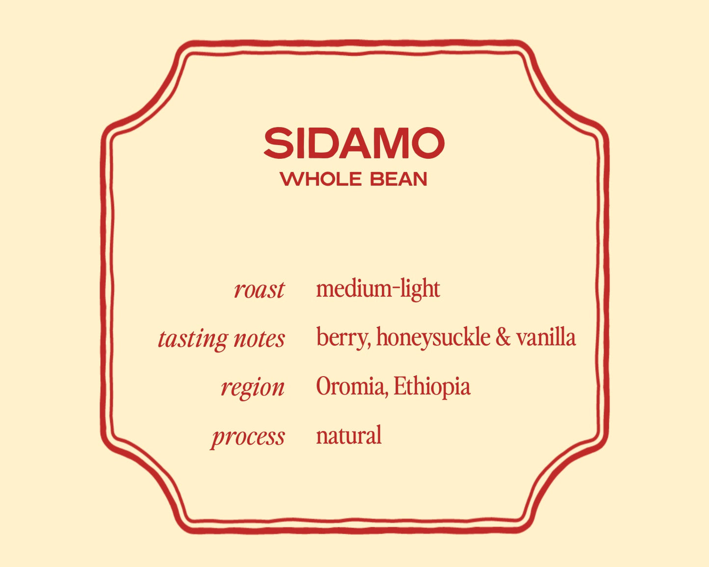 Ethiopia Sidamo